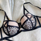 Ruthless Yet Radiant Bra Set