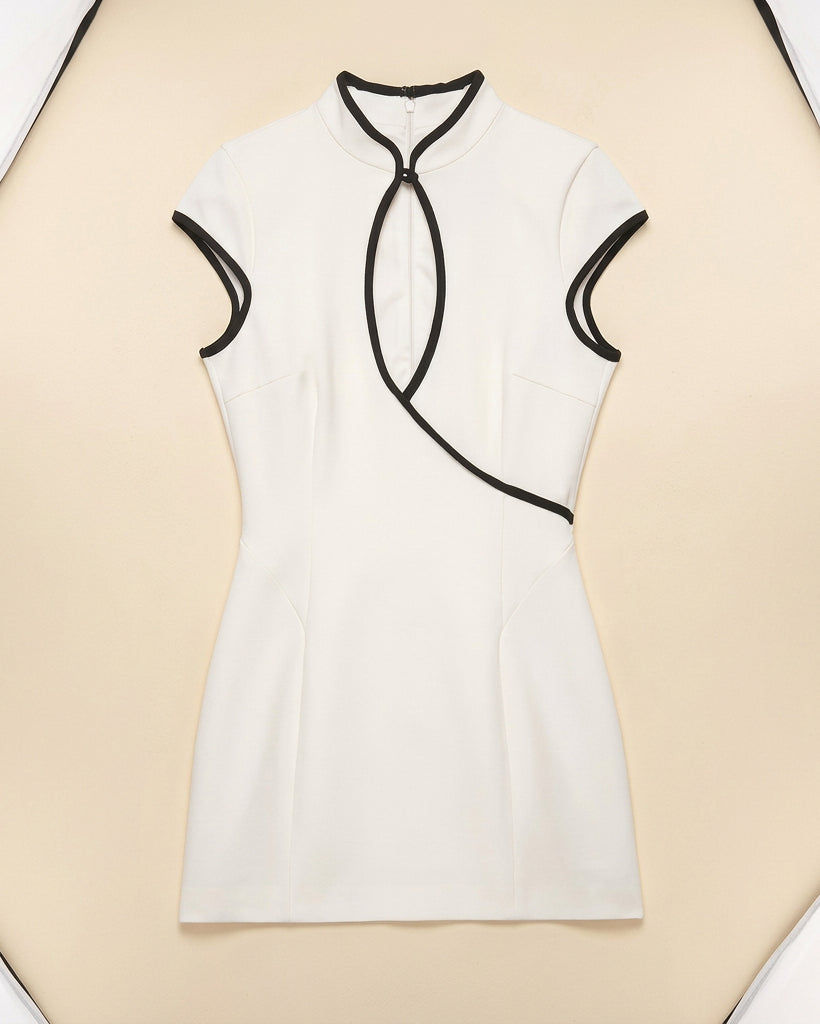 Hollow Out Stand Collar Mini Dress