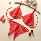 Wishing On Dandelions Lingerie Set