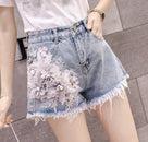It's The Pride In Me Shorts